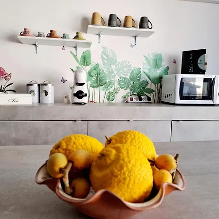 Summer House アパート *